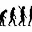 Evoluzione