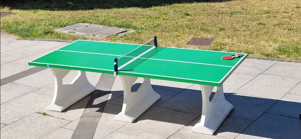 Torneo ping pong Parco Verga
